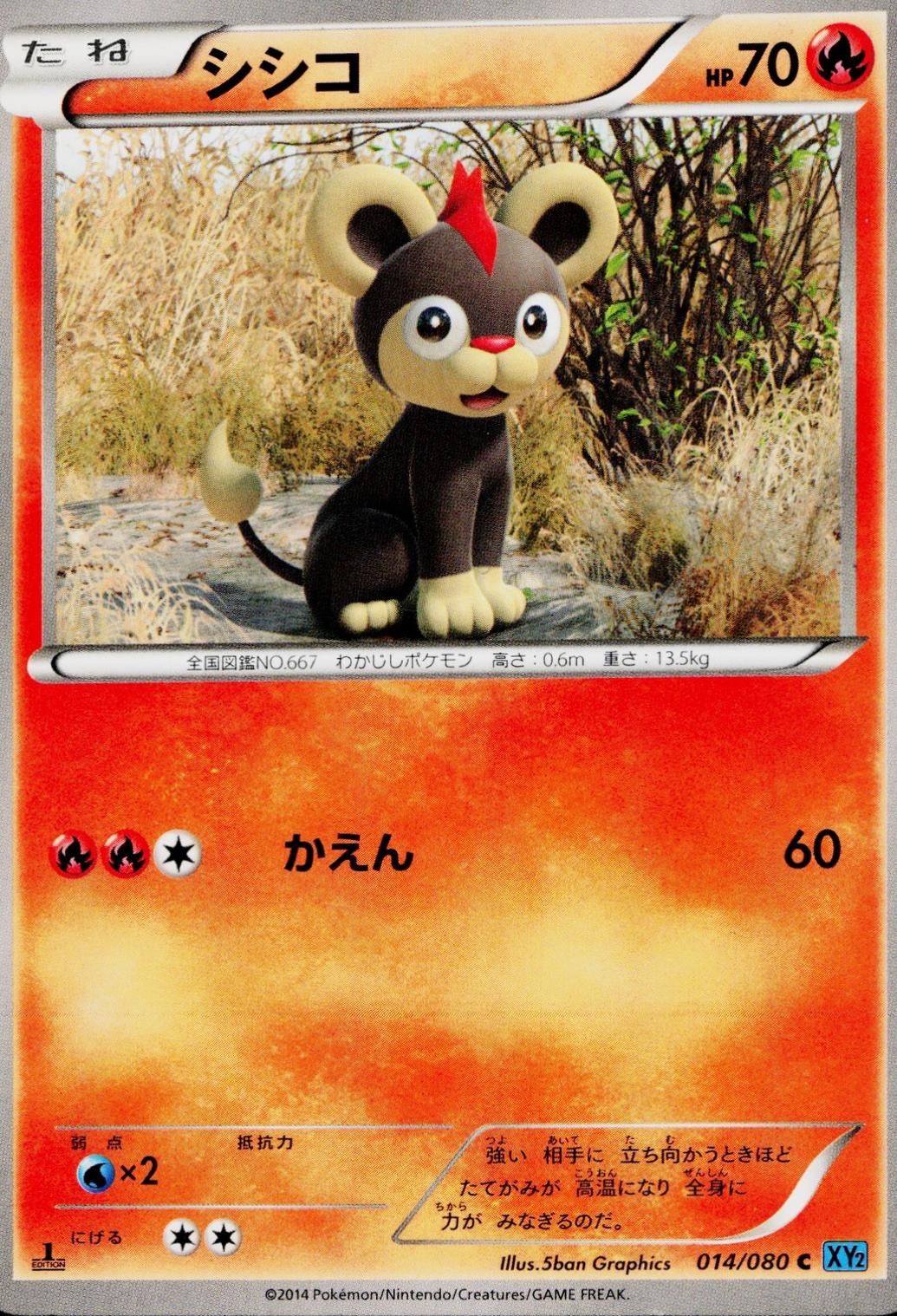 Litleo